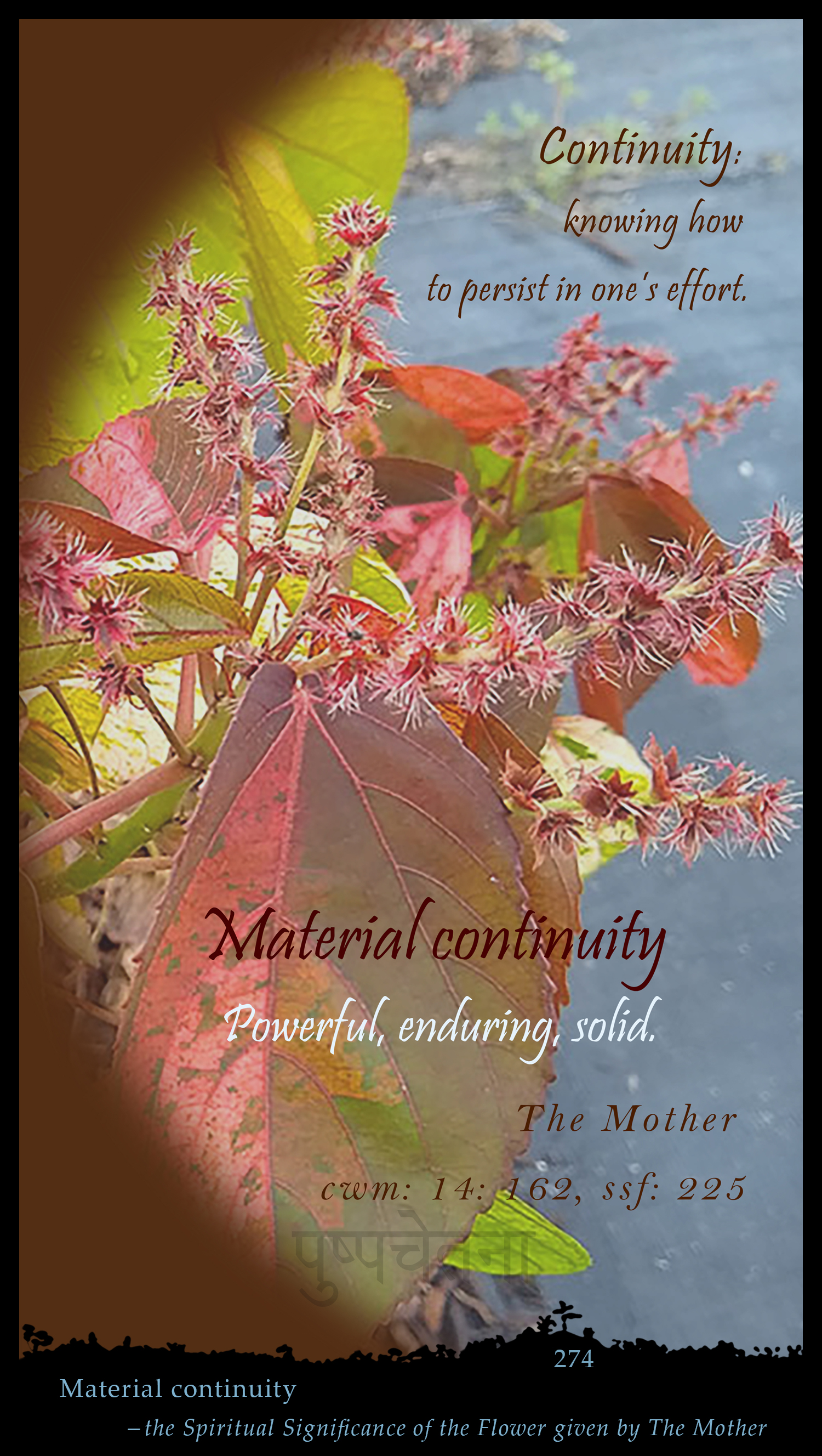 Material Continuity